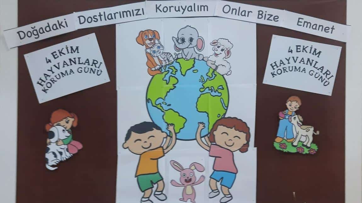 Hayvanları Koruma Günü Etkinliklerimiz 